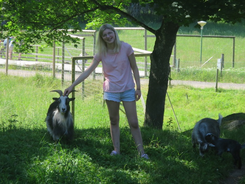 kollobilder-35.jpg