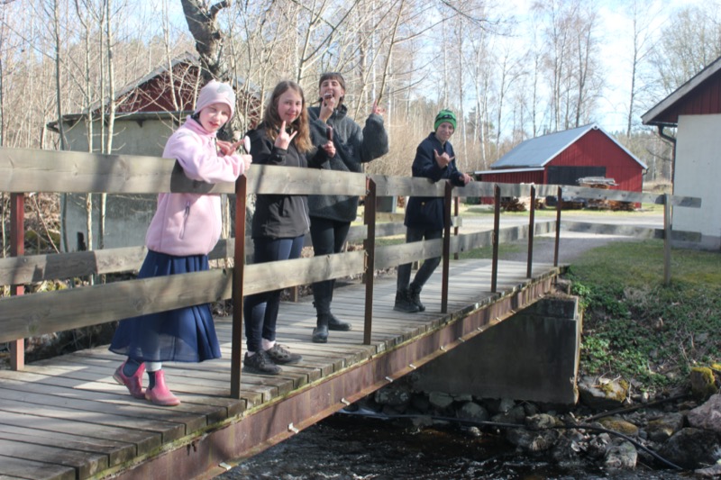 kollobilder-43.jpeg