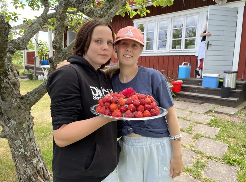 kollobilder-14.jpeg
